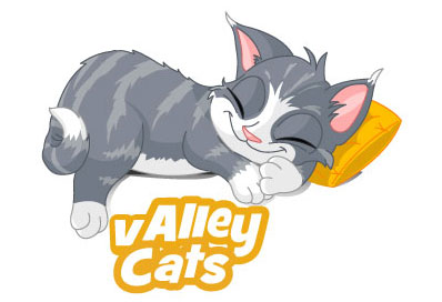 Logo, Valley Cats Cattery