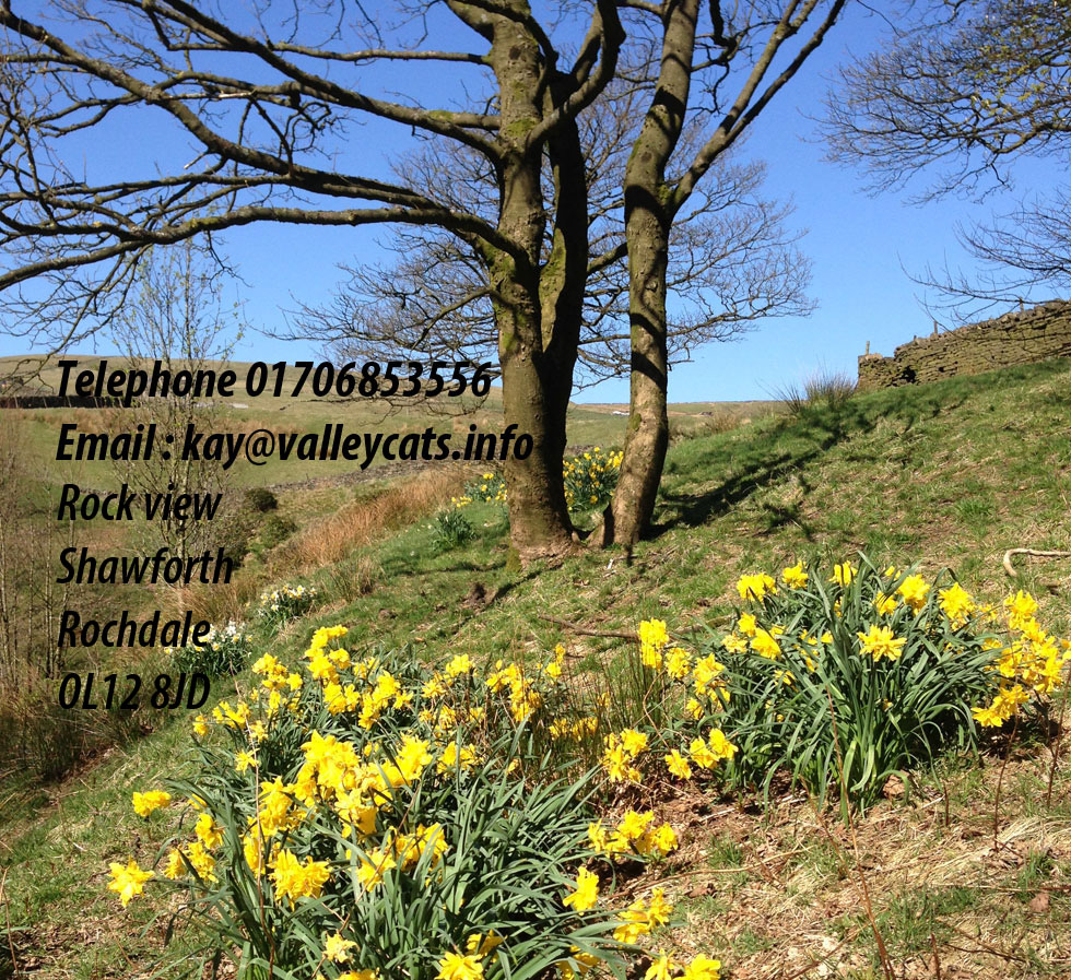 Rossendale Countryside