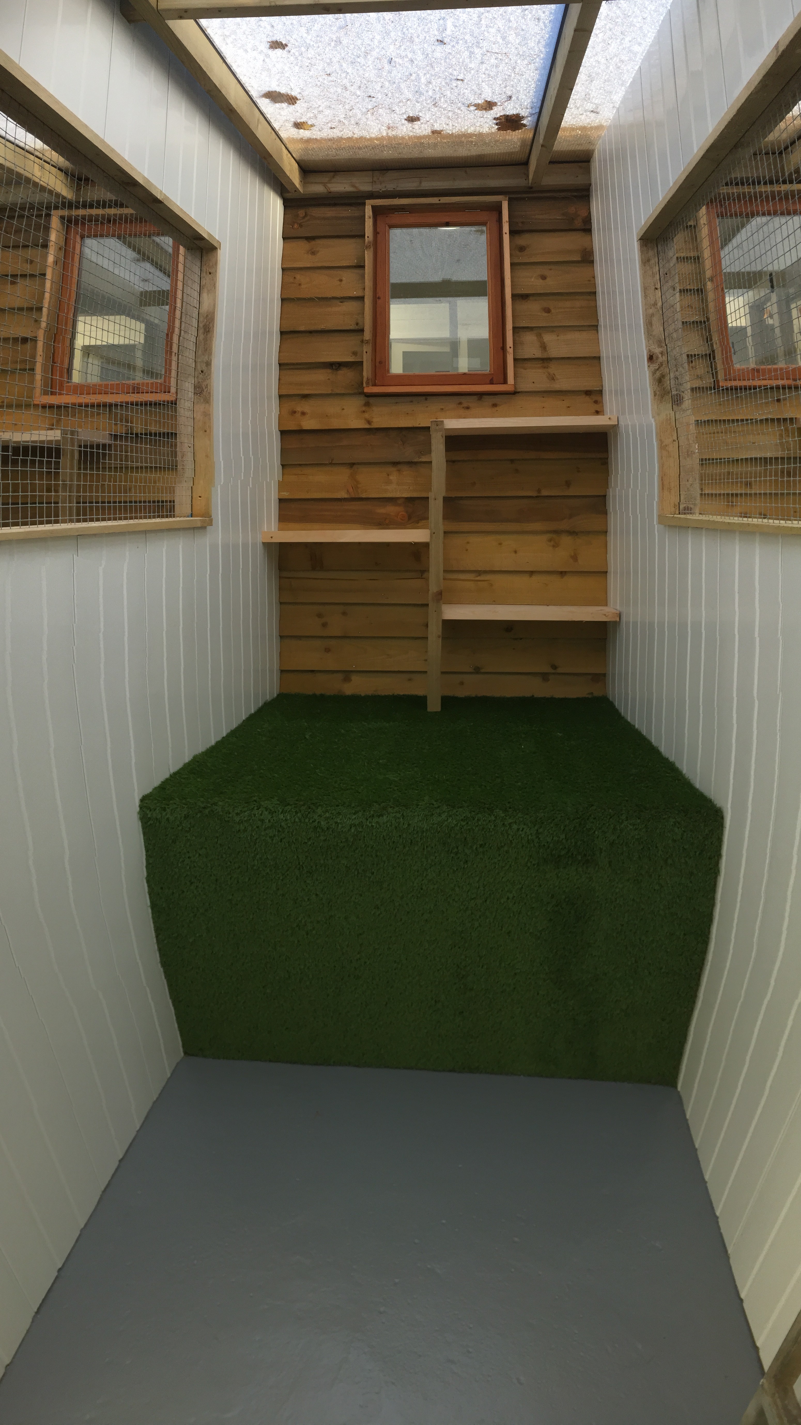 cattery outside excercise area